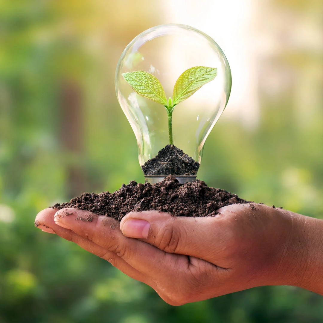Image of a hand holding soil with a lightbulb sticking out. The lightbulb has a seedling in it.
