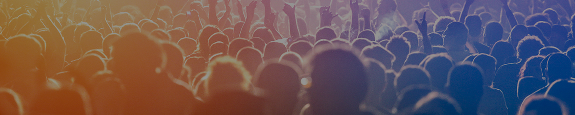 Image of people in a concert setting.